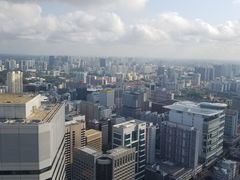 -新加坡瑞士史丹福酒店