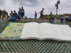 -观潮胜地公园