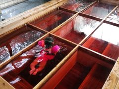 -杭州第一世界大酒店·云曼温泉