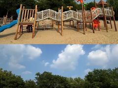 -大兴滨河森林公园