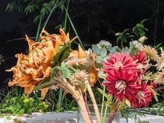 -海市蜃楼花园主题餐厅(石顶店)