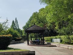 -长兴菜馆(高桥店)