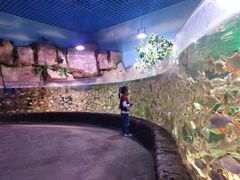 -多彩贵州城极地海洋世界