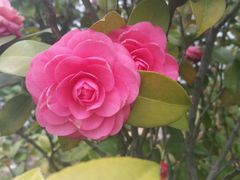 -艾溪湖湿地公园