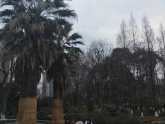 -苏州河梦清园环保主题公园