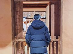 -井冈山风景名胜区