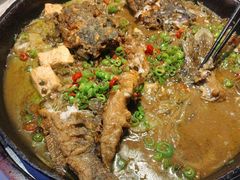-老板恋上鱼(高新万达店)