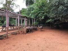 -海南热带野生动植物园