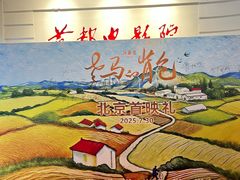 -首都电影院(金融街店 杜比全景声)