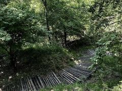 -五龙城郊森林公园