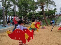 -宝安西湾红树林湿地公园