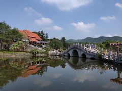 -大屏嶂森林公园