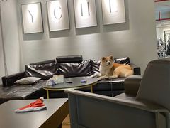 -YCHL Studios健身工作室(市二宫店)