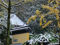 -慧因高丽寺