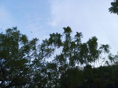 -华南师范大学(广州大学城校区)