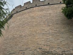 -老村长大锅炖羊肉(榆林大道店)