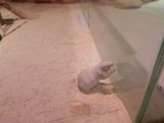-正佳雨林生态植物园