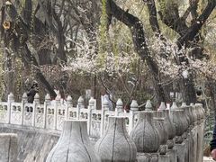 -文瀛公园