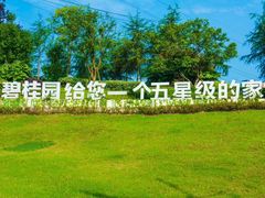 -重庆长寿碧桂园凤悦凤凰酒店