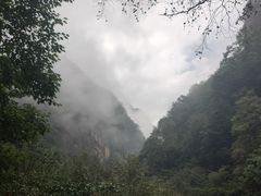 -青峰峡国家森林公园