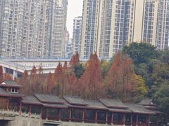 -重庆彩云湖湿地公园