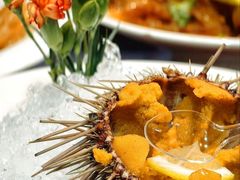 -日月昇渔家菜·海肠捞饭·大连海鲜(星海公园店)