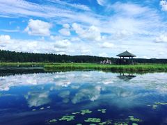 -塞罕坝国家级自然保护区