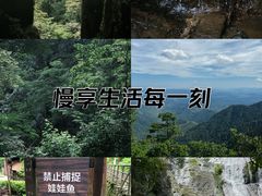 -东天目山风景区