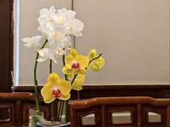 -山水茶艺馆·点心粤菜·30年老字号