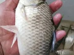 -南京金牛湖风景区