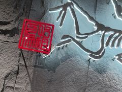-ARC'TERYX始祖鸟(北京王府中环店)