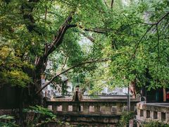 -土城古镇