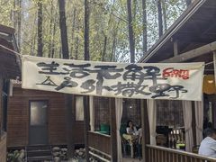 -林间山庄