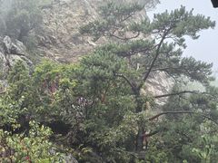 -赤山风景区