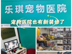 -乐琪宠物医院·犬猫专科·骨外科·急重症