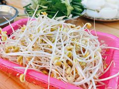 -霞姐屯昌枫木香草鸭店(海螺店)