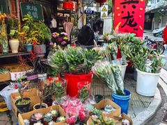 -溪岸路花鸟市场