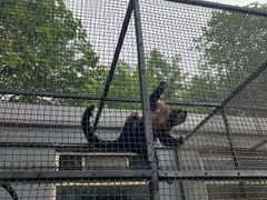-保定市动物园