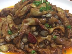 -林口邵胖子大鹅(新安街东五店)