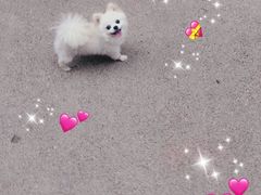 -凱峯魚湯米線(金利達店)