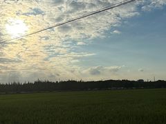 -嘉北郊野公园