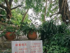 -胡里山炮台