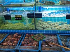 -老东镇啤酒屋海鲜加工·蒸汽海鲜·海鲜烧烤(台东店)