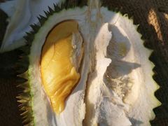 -林旺社区水果市场