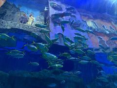 -华夏文旅海洋公园