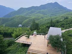 -江南天池