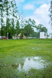 -糖果baby儿童摄影定制馆(外景店)