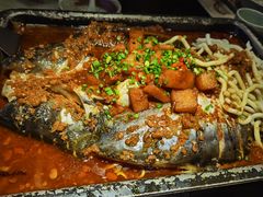 湄公鱼-焰鱼(昌建广场店)