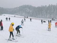 -五家山森林公园滑雪场