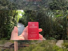 -三亚亚龙湾人间天堂鸟巢度假村